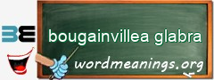 WordMeaning blackboard for bougainvillea glabra